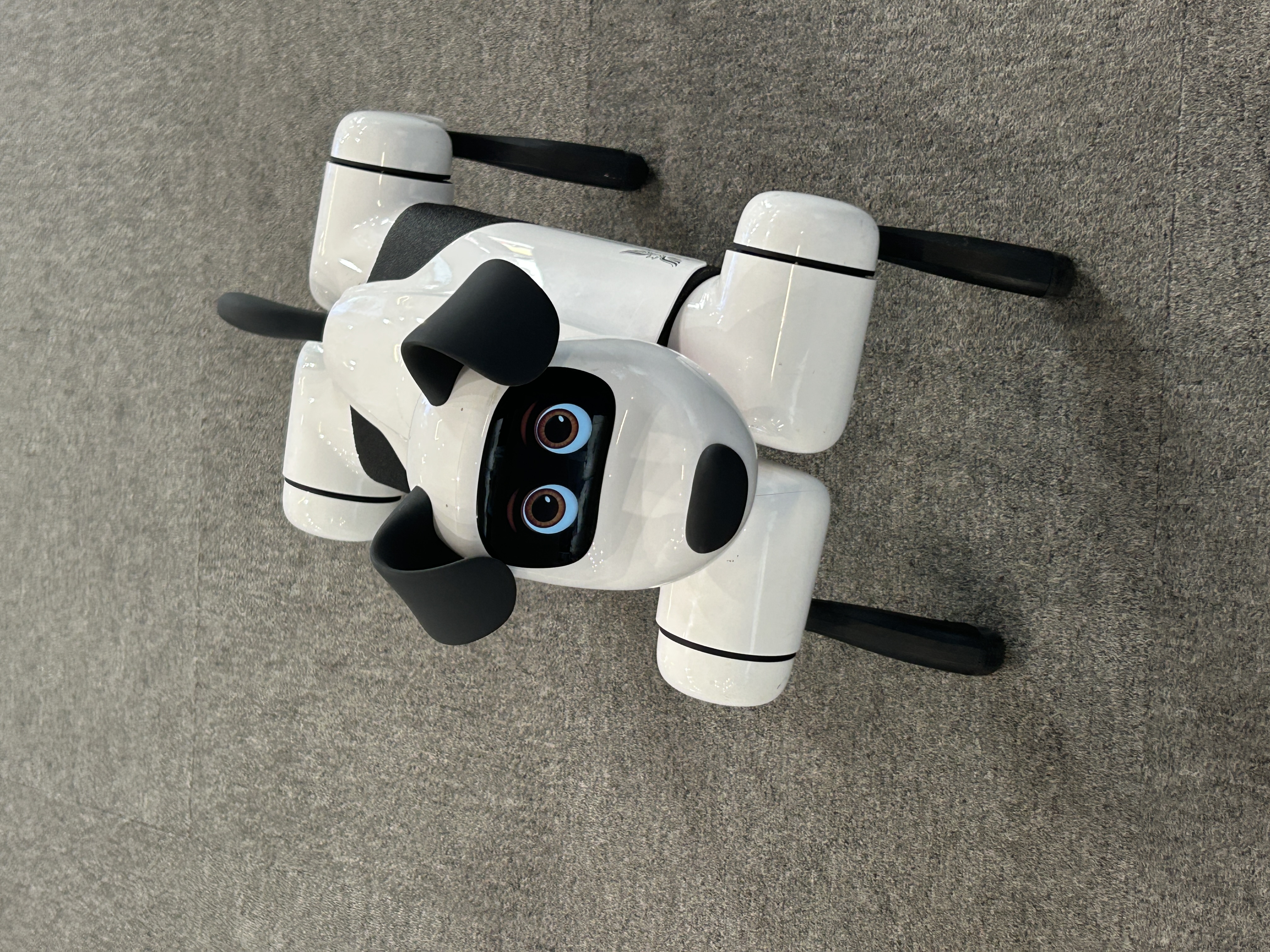 ロボット犬